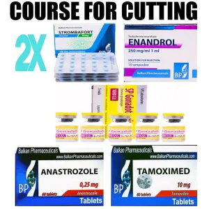 Stanozolol, Testosterone Enanthate - Course - BP Online Store