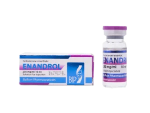 BP Enandrol 10 ml