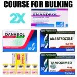 Danabol (Methandrostenolone) + Testosterone Enanthate